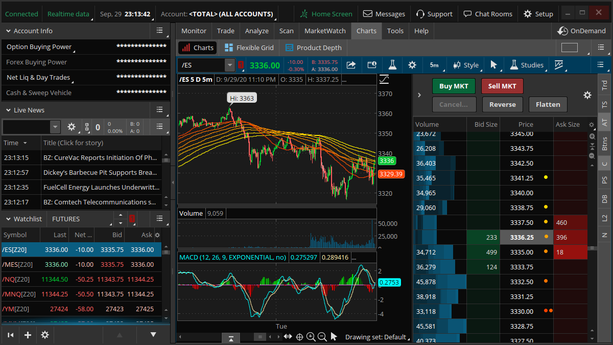 Thinkorswim-screenshot.png